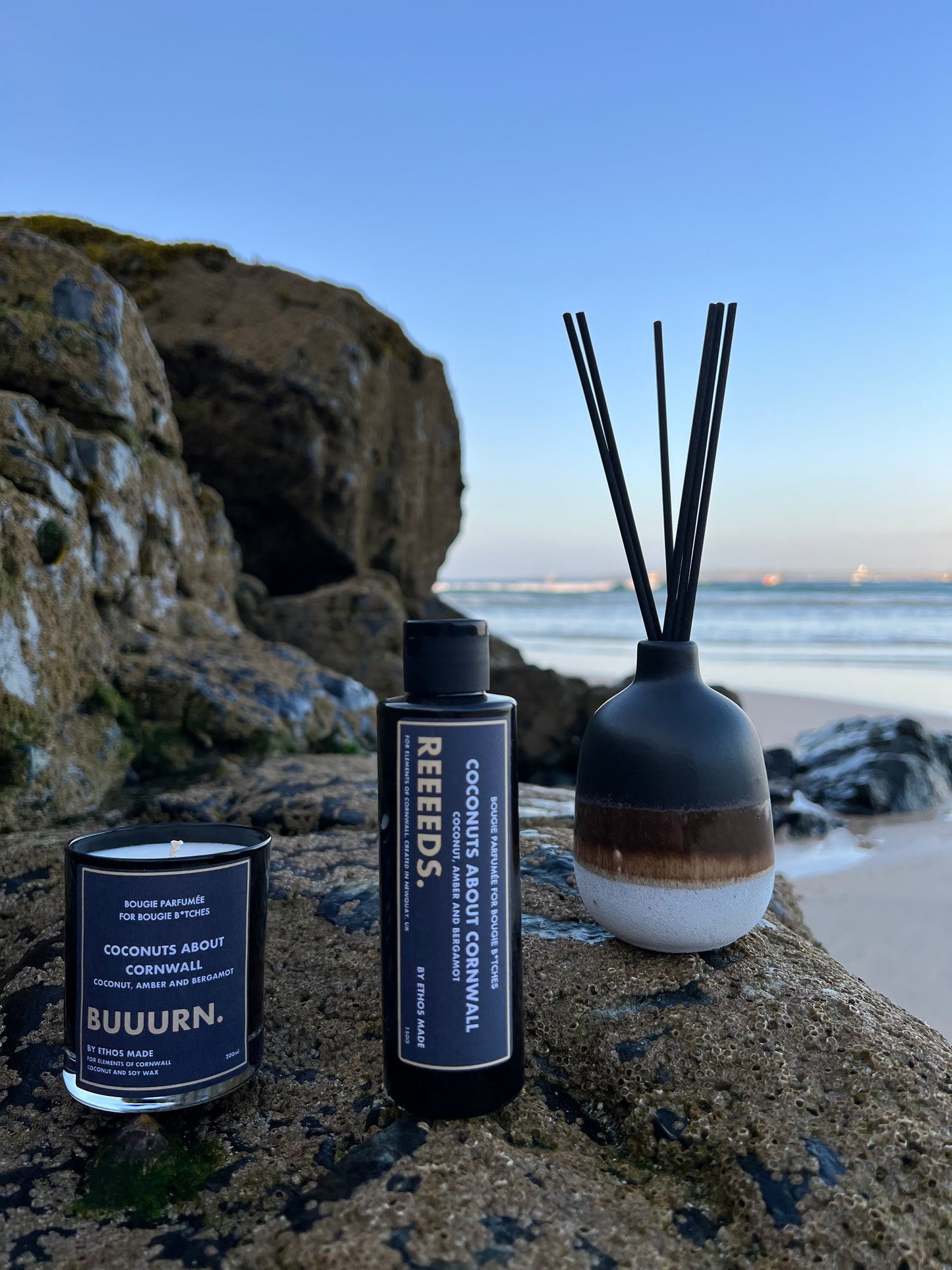 Coconuts About Cornwall Reed Diffuser