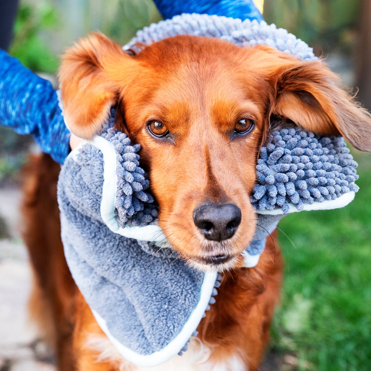 Henry Wag Noodle Glove Dog Drying Towel 80 X 35cm