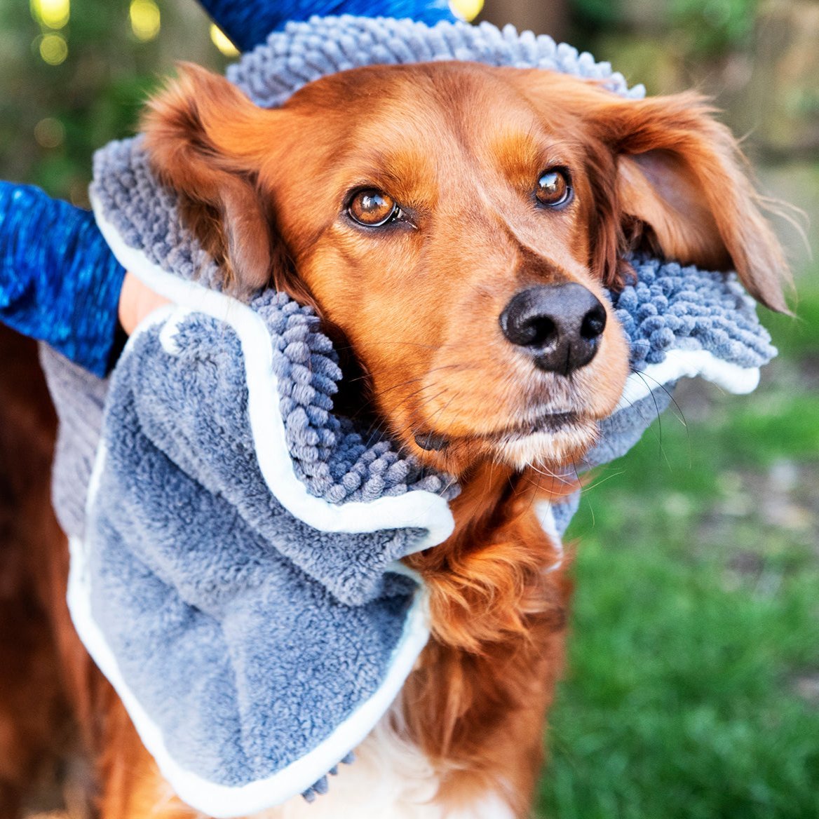 Henry Wag Noodle Glove Dog Drying Towel 80 X 35cm