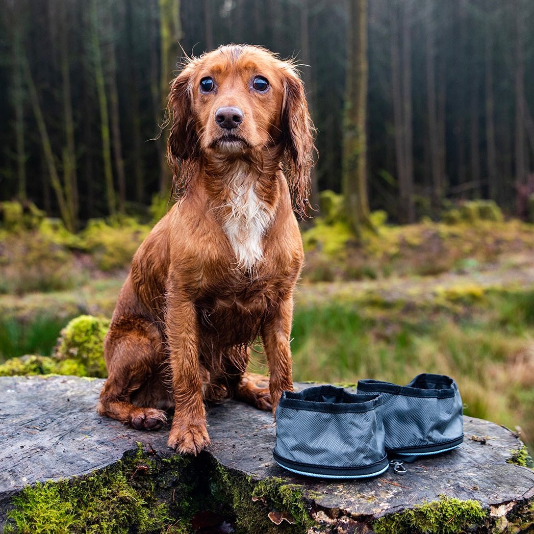 Henry Wag Pet Snaffle Set Pack Folding Travel Bowls