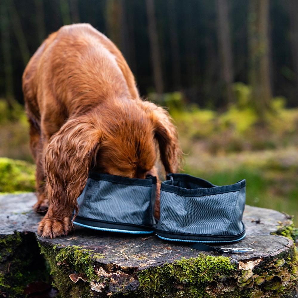 Henry Wag Pet Snaffle Set Pack Folding Travel Bowls