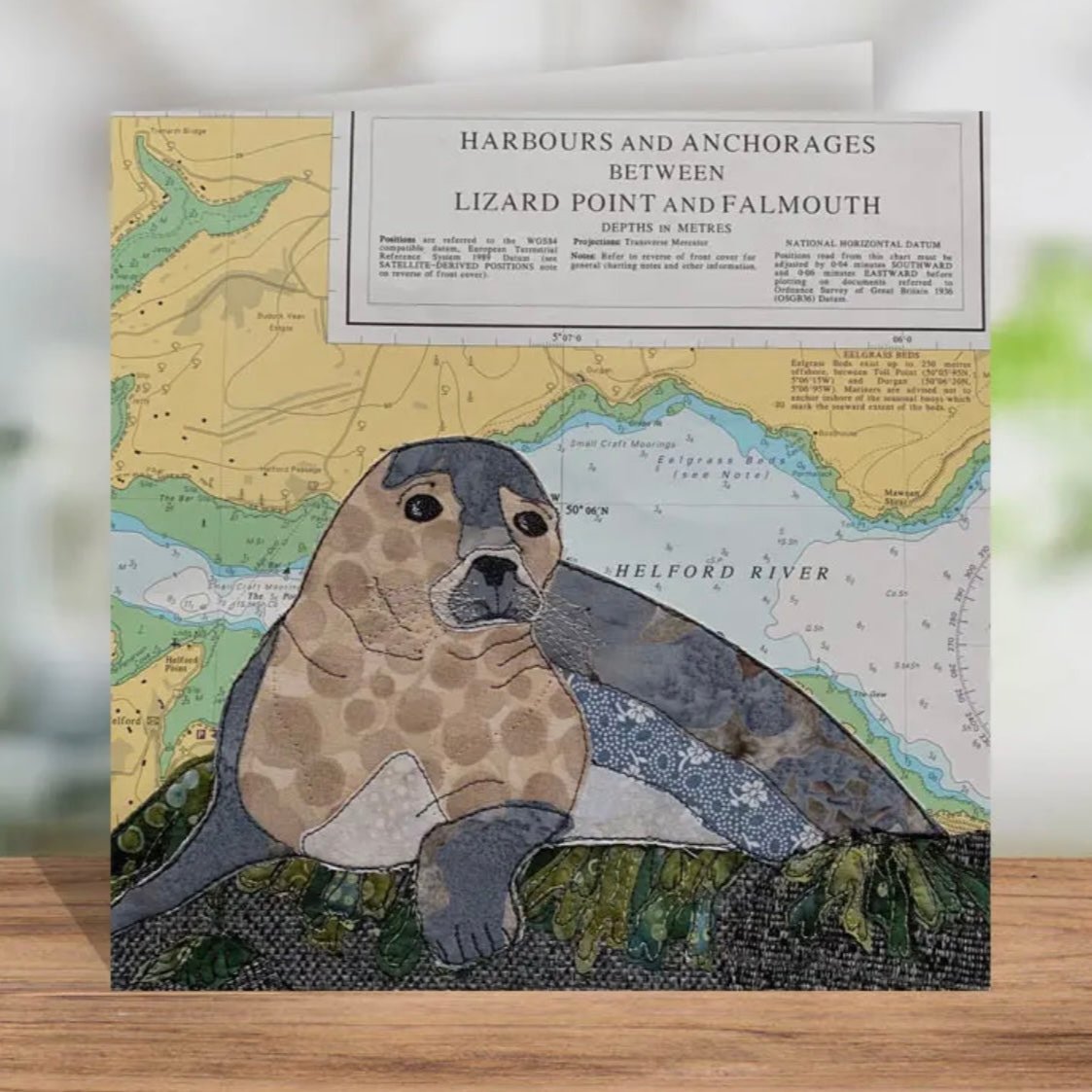 Seal At Helford Cornwall Greetings Card